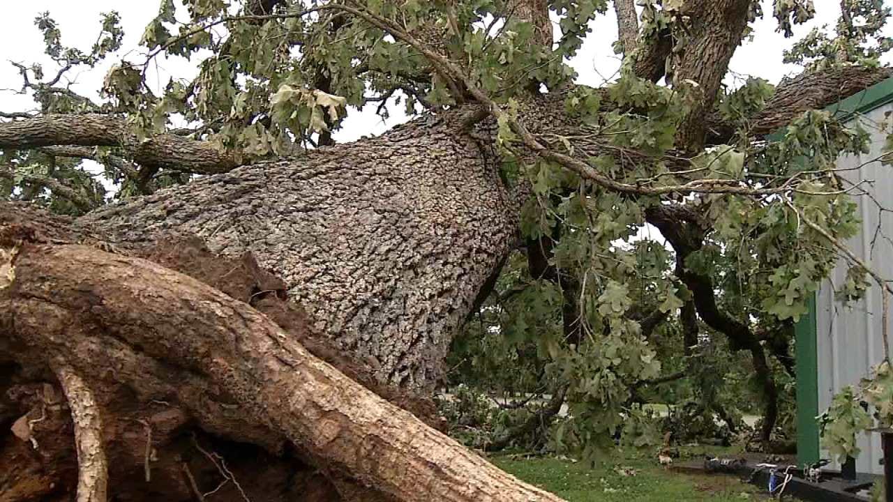 PHOTO GALLERY Tornado Damage Strikes Olmsted Falls Area Page 2 of 5