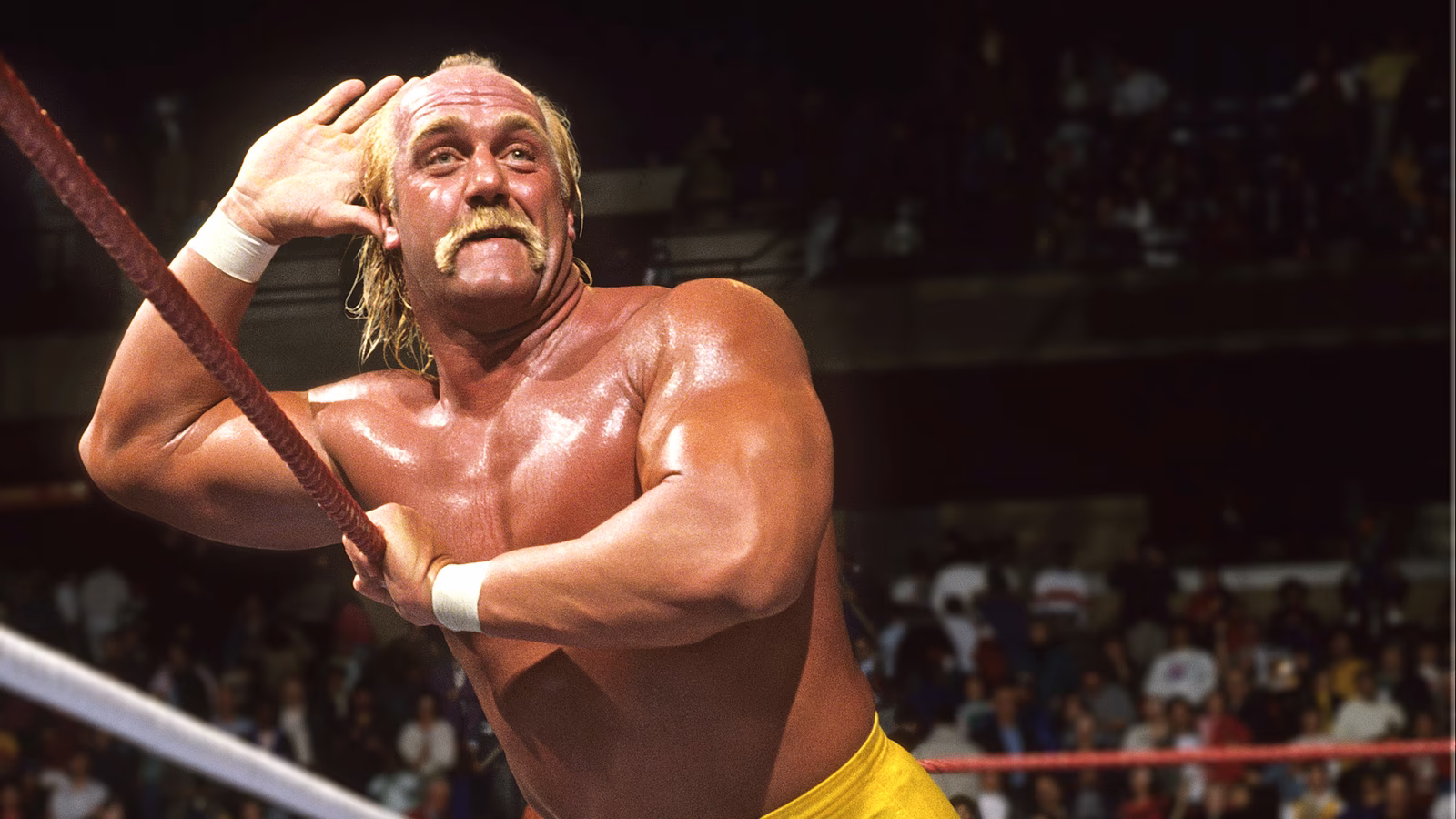 WWE Top 10 Heavyweight Champions of all Time