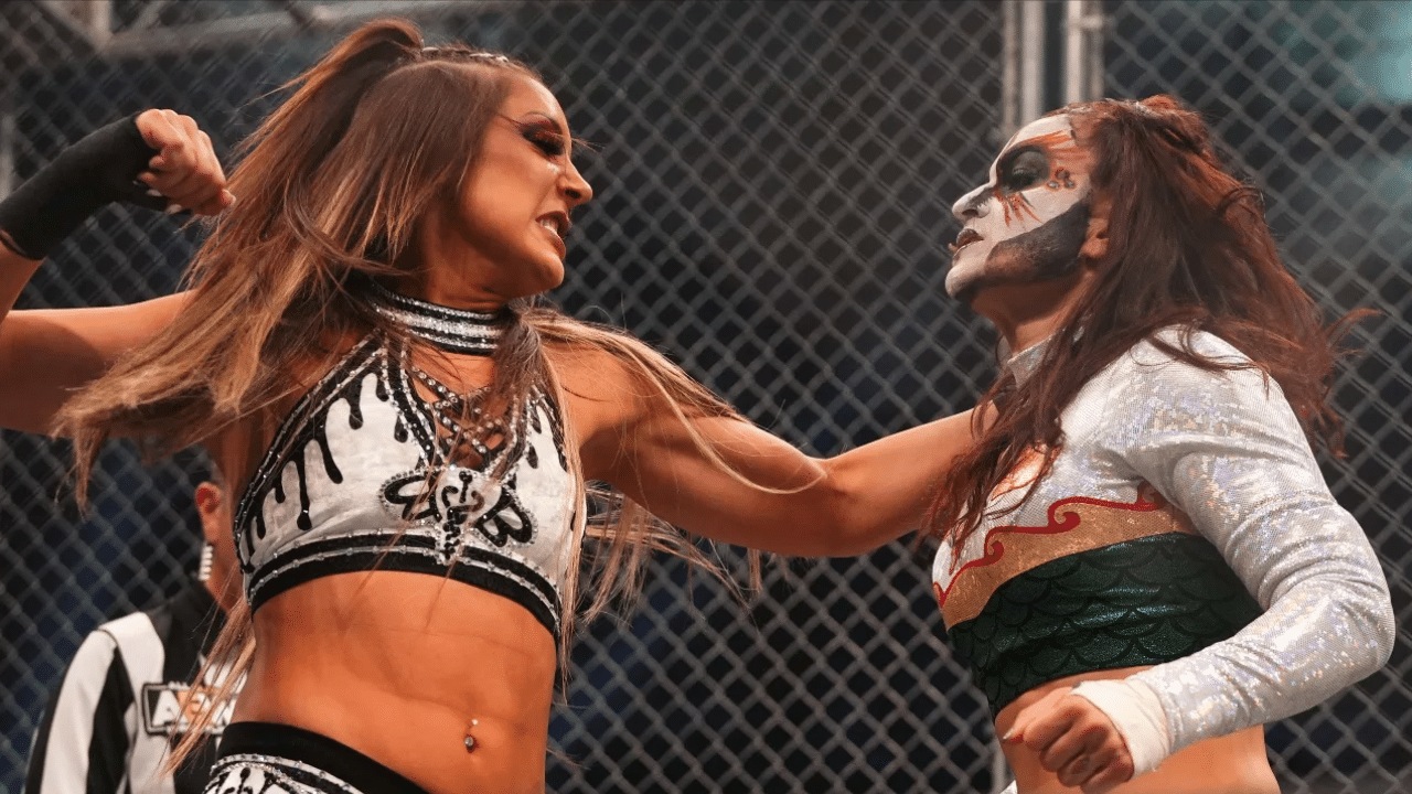 The One Former Champ the AEW Women's Division Badly Needs to Return ...